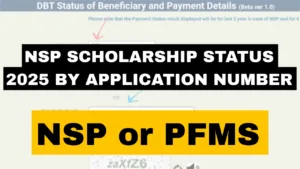 NSP Scholarship Status 2025 by Application Number
